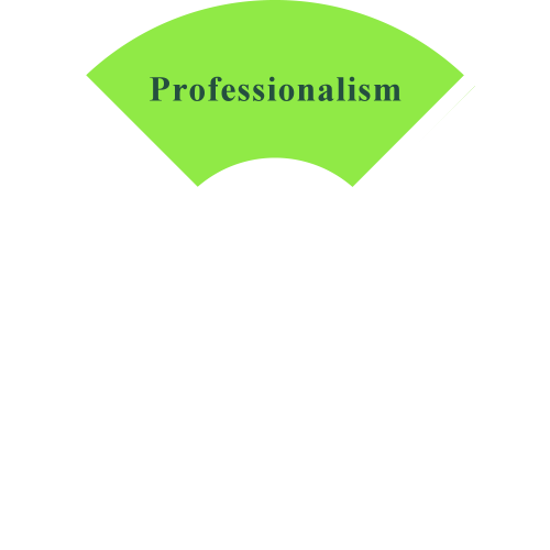 professionalism